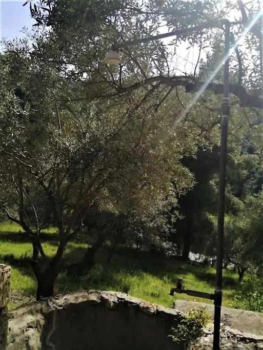 Wood & Stone Dream View House B Villa Diaporos