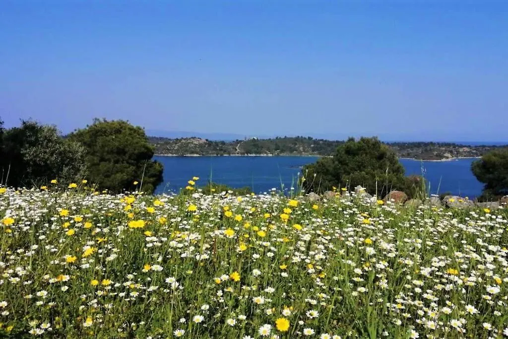 Wood & Stone Dream View House B Villa Diaporos Holiday home