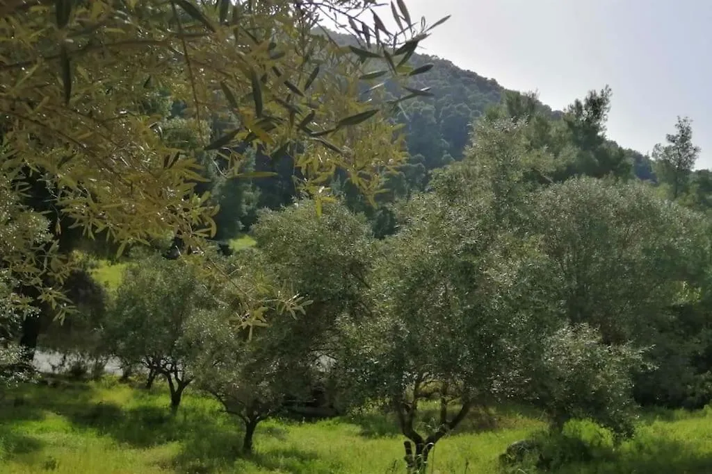 Wood & Stone Dream View House B Villa Diaporos Greece